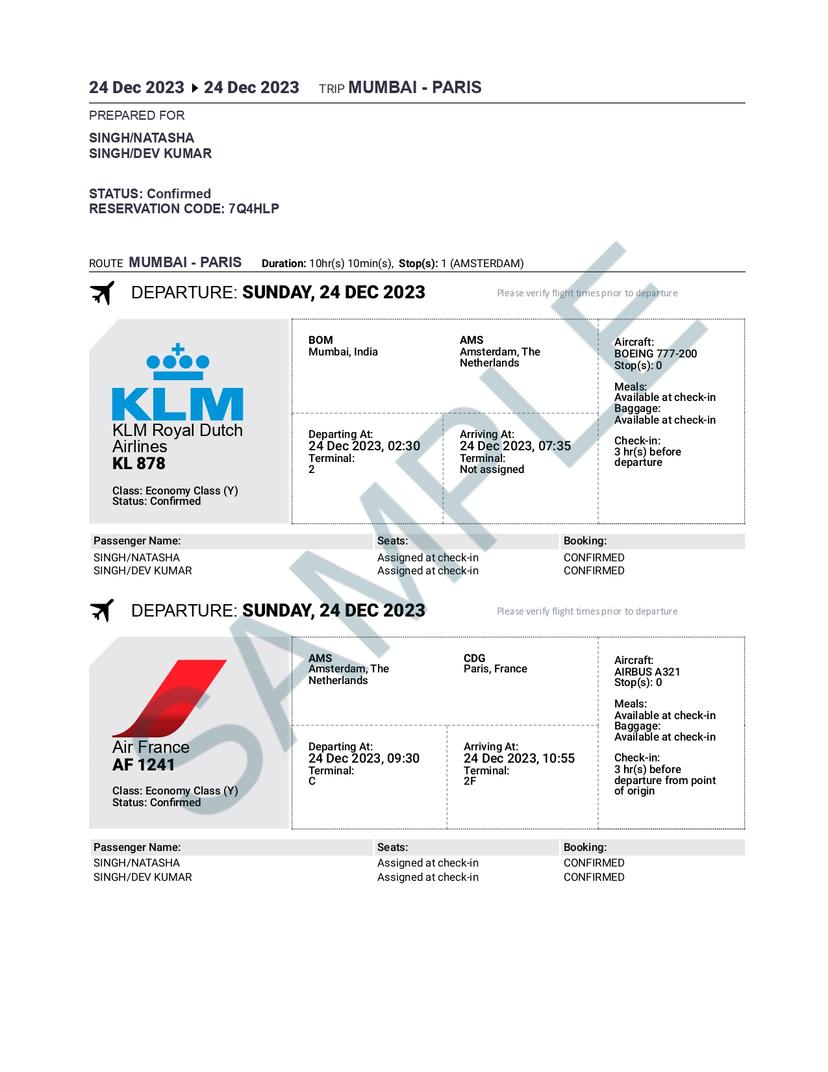 Sample dummy ticket PDF thumbnail